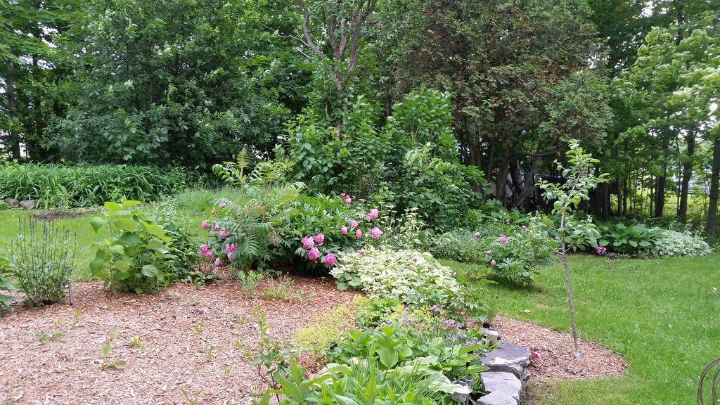 Saint-Laurent-de-l'ile d'Orleans La Maison Ancestrale Guerard المظهر الخارجي الصورة
